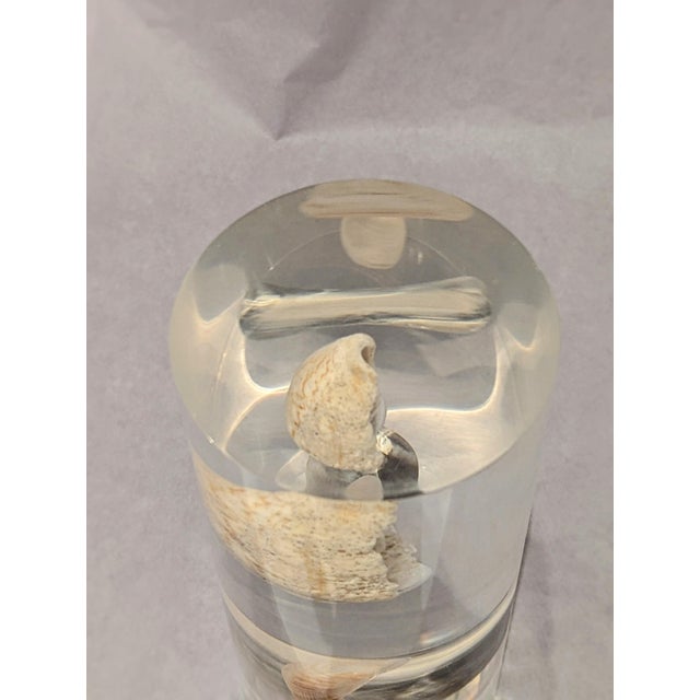 1970s Lucite With Shells For Sale - Image 5 of 5