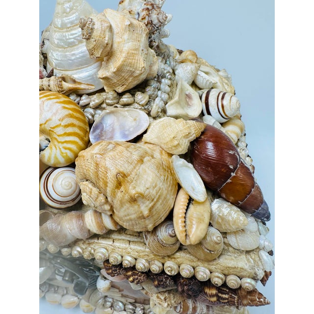 Coastal Large Vintage Shell Box For Sale - Image 3 of 8