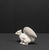 Vintage White Stoneware Squirrel, 1960s For Sale - Image 6 of 9