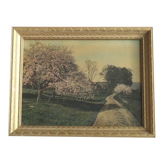 Vintage Landscape Photograph "A Spring Bride" by David Davidson For Sale