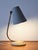 Midcentury Desk Lamp, 1950s For Sale - Image 10 of 11