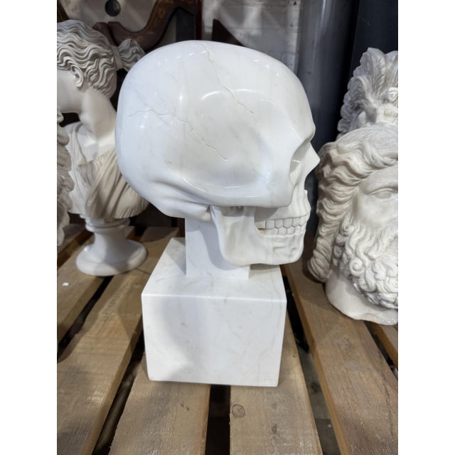 Hand-Carved Skull Sculpture on Square Plinth, White Marble For Sale - Image 5 of 7