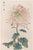 Asian Mum by Hasegawa, Vintage Japanese Botanical Art Print, 40" X 60" For Sale