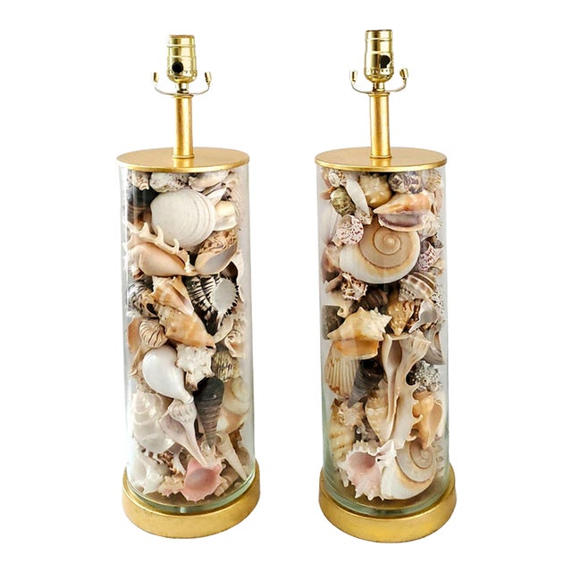 Lamp Pair Seashells Shells Restored Extra Large Size For Sale