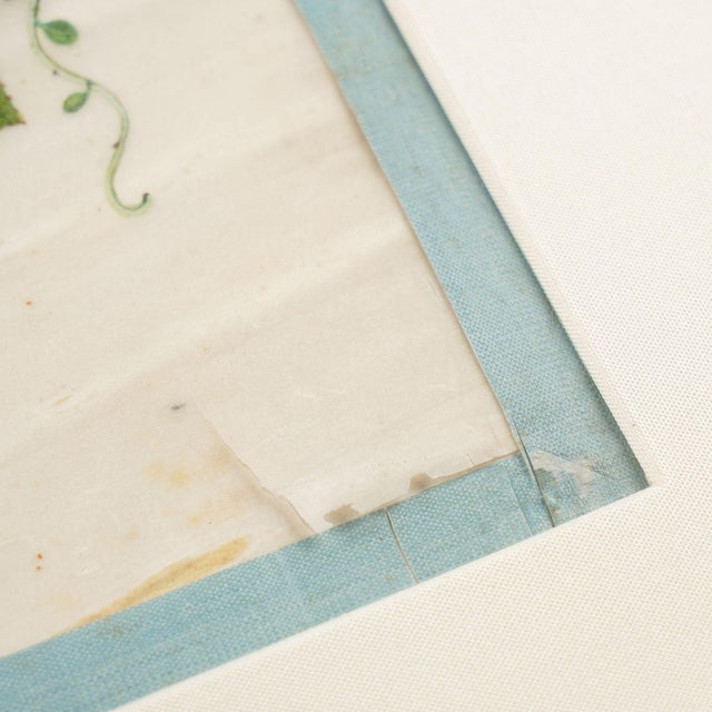 19th Century Pair of Chinese Botanical Paintings by Sunqua, C. 1800-50 For Sale - Image 5 of 12