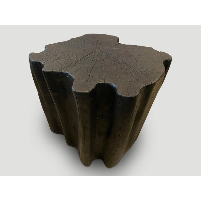 Andrianna Shamaris Amorphous Charred Side Table For Sale - Image 14 of 18