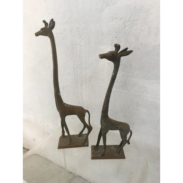 Brass Vintage Brass Giraffes, a Pair For Sale - Image 8 of 10