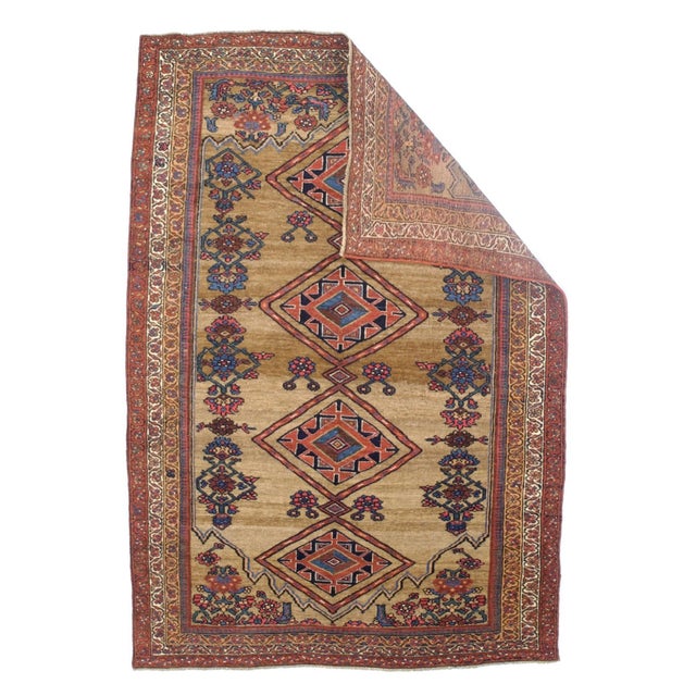 Antique Kurdish Bidjar Rug 4'1" x 5’11". The town and surrounding Kurdish carpets of the eponym city, often in room or...