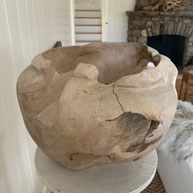 Organic Modern Teak Root Sculptural Vessel For Sale - Image 9 of 10