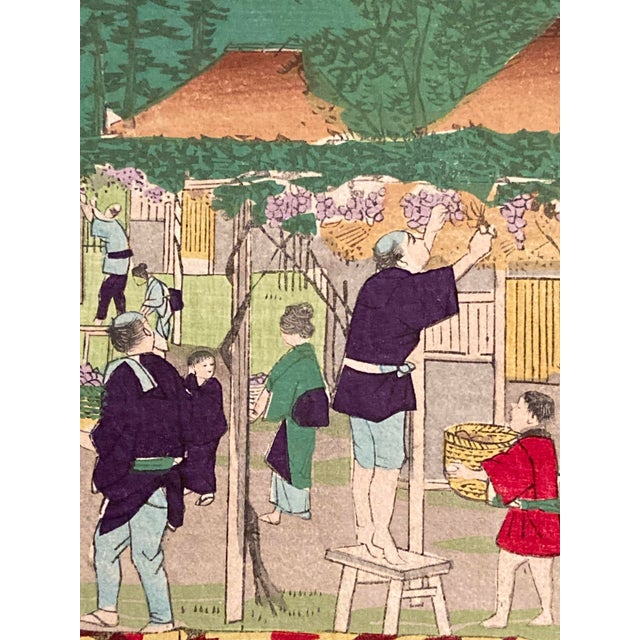 Dit Hiroshige III, Raisins Kai, 1877, Paper For Sale - Image 11 of 13