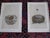 Authentic Antique 19th Century Hand Colored Bird Nest & Egg Lithographs - Set of 9 For Sale - Image 4 of 9