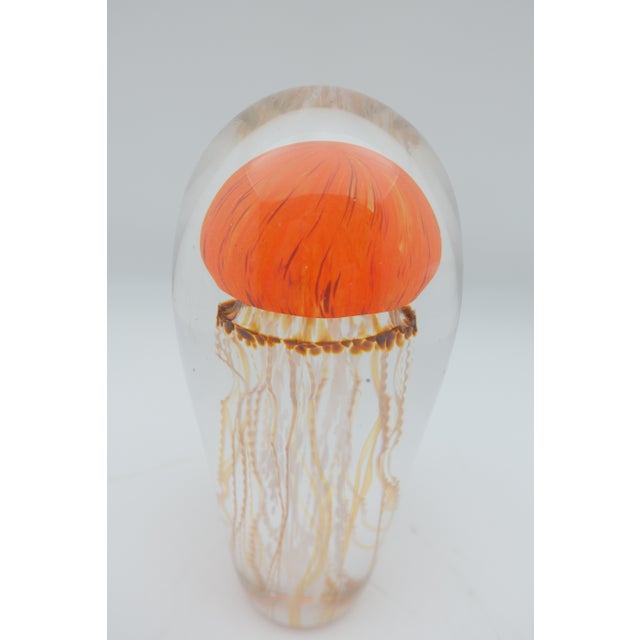 Sunrise Glass Jellyfish Sculpture For Sale - Image 4 of 7
