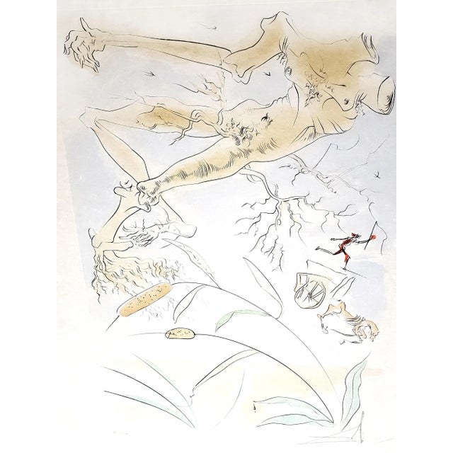 Salvador Dali - The Oak and the Reed - Signed Engraving 1974 For Sale - Image 13 of 13