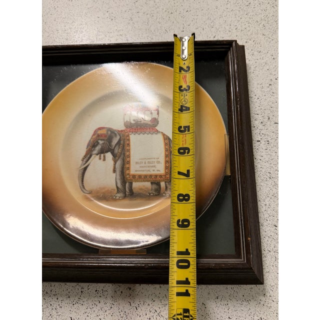 Rare 1911 Antique Taylor Smith Taylor Circus Elephant Dinner Plate in Frame For Sale - Image 4 of 5