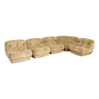 Italian Nuvolone Modular Sofa by Rino Maturi for Mimo Padova, 1970s, Set of 5 For Sale