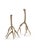 Contemporary Wildwood Antler Hall Candlesticks, Set of 2 For Sale - Image 3 of 3