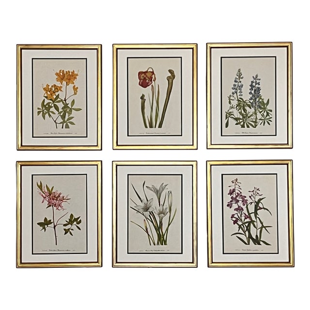 Vintage Botanical Prints -Set of 6- Authentic 1953 Prints For Sale