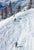 Skiers On The Piste by Toni Frissell Two skiers on the piste at the St. Anton ski resort, Austria, 1955. (Photo by Toni...