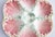 French Antique French Keller and Guerin Luneville Majolica Pink Seaweed Oyster Plate, Circa 1890 For Sale - Image 3 of 6