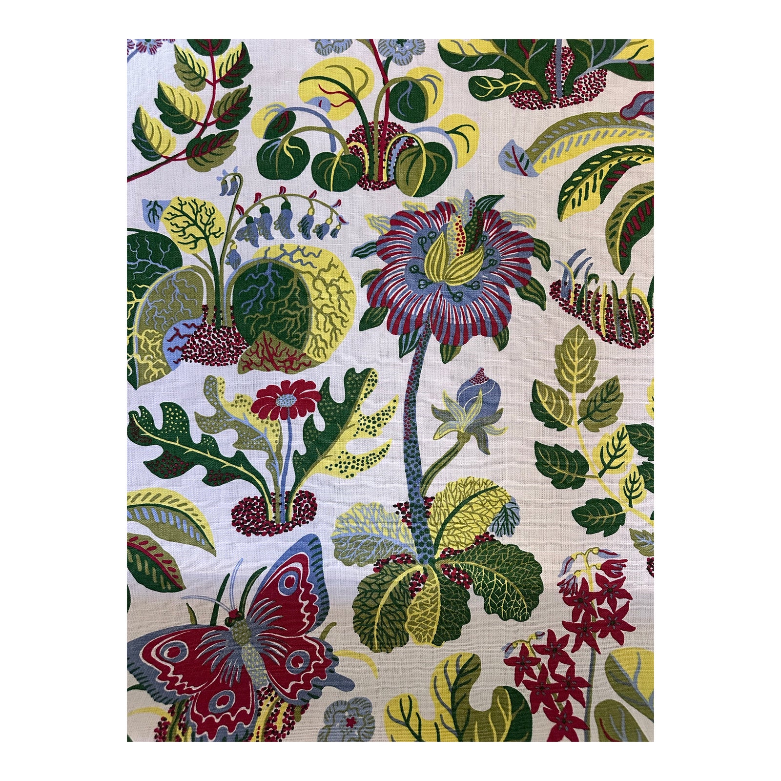 Schumacher 176181 Exotic Butterfly Multi Fabric 4 1/2 Yards | Chairish