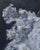 A modern, dramatically contrasting, and moody impression of a white French tulip painted on a cradled masonite panel and...