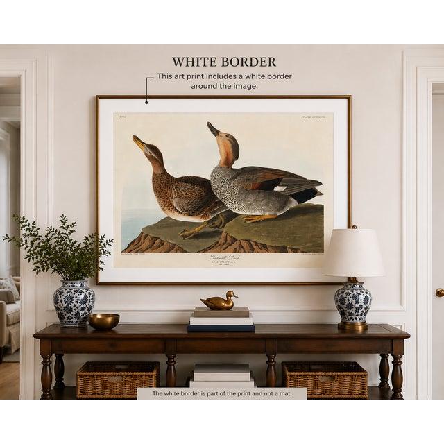Vintage waterfowl artwork reproduced from Birds of America (1827) by John James Audubon and refined for modern printing....