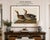Vintage waterfowl artwork reproduced from Birds of America (1827) by John James Audubon and refined for modern printing....