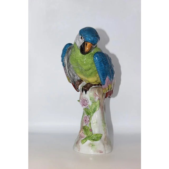 1940s Porcelain Parrot in the style of Meissen, 1940s For Sale - Image 5 of 11