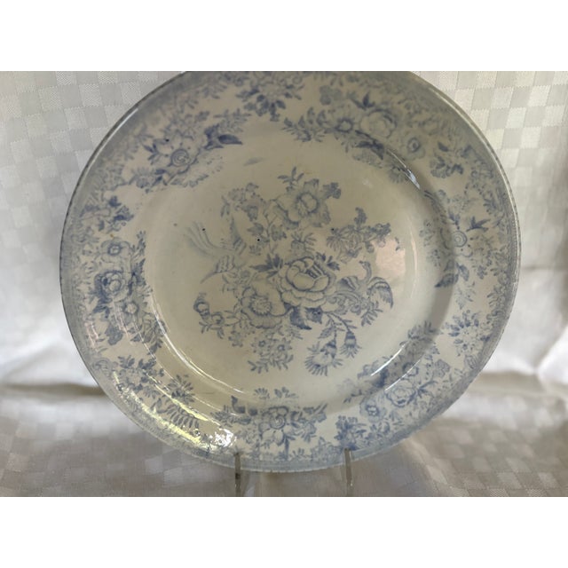 Mid 19th Century Asiatic Pheasant Dinner Plate For Sale - Image 11 of 12