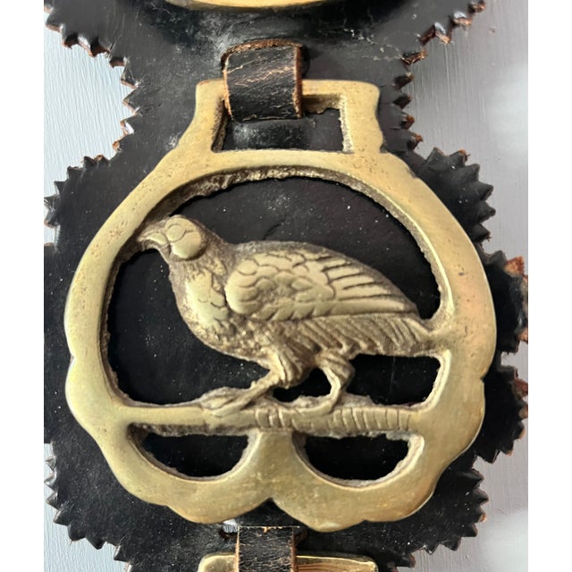 Mid 20th Century Vintage Brass and Leather Horse Bridle Strap For Sale - Image 5 of 9