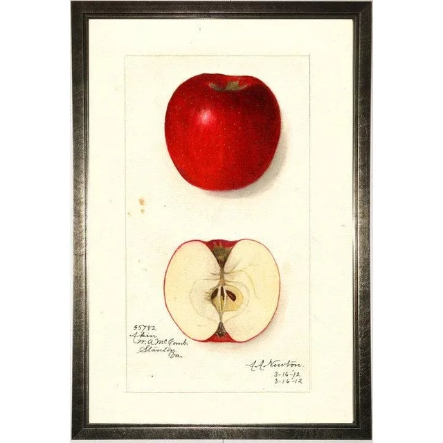 Red Apple Study in Pewter Shadowbox 21x29