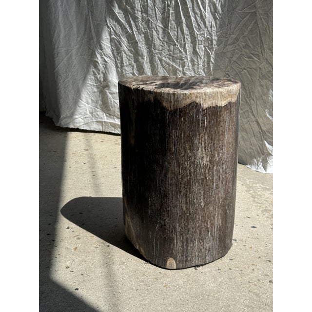 Brown multicolor organic petrified wood side table. Petrified wood is a wood fossil (same family as magnolia) dating back...