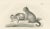 Domestic Cats, 1836, Lithograph For Sale - Image 6 of 10