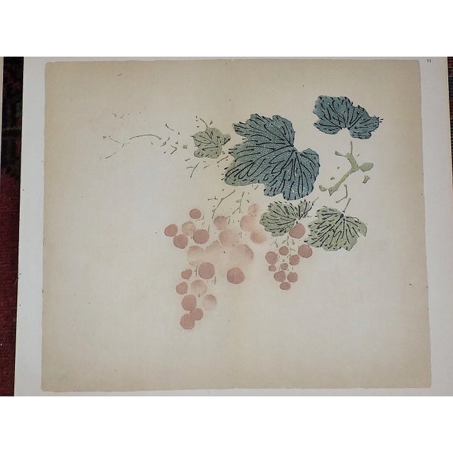 Realism Vintage Signed Chinese Botanical Color Lithographs - Set of 3 For Sale - Image 3 of 9