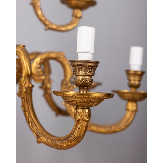 20th Century Classic Twelve-Light Gilded Bronze Chandelier, 1950s For Sale - Image 6 of 16