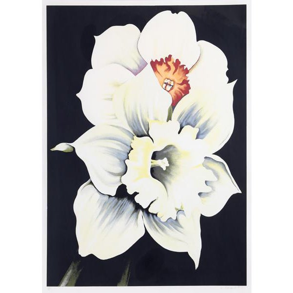 1978 "Two White Flowers" Print by Lowell Blair Nesbitt Chairish