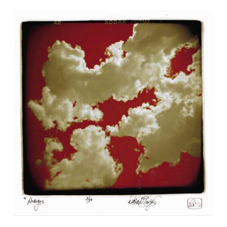 Michael Bryant Red Cloud Photograph For Sale