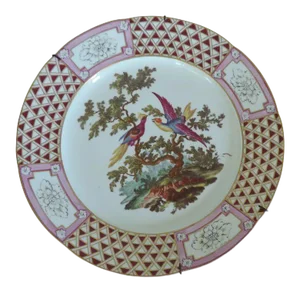 1760 French Style German Frankenthal Carl Theodor Porcelain Exotic Bird Ornithological Cabinet Plate
