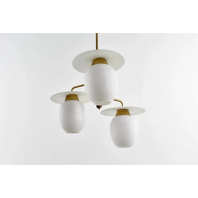 Mid-Century Modern Brass and Curved Glass Hanging Light, 1950s For Sale - Image 11 of 18