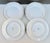 1970s Richard Ginori Antico Doccia Pattern Salad Plates --Set of 8 For Sale In New York - Image 6 of 6