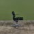 Mid-Century Modern Eames Soft Pad Management Chair for Herman Miller For Sale - Image 3 of 18
