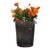 Antique Wooden Sap Bucket For Sale