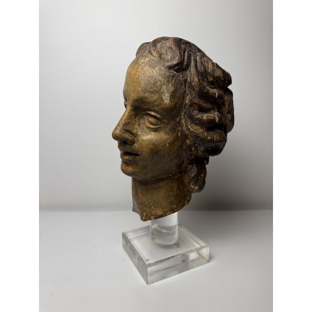 Genovese Artist, Sculpture Depicting the Head of an Angel, 17th Century, Wood For Sale - Image 14 of 18
