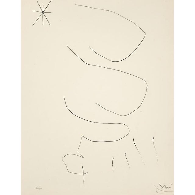 Joan Miró, Journal of an Etching Engraver, Edition of 85, 1975, Etching For Sale - Image 3 of 3