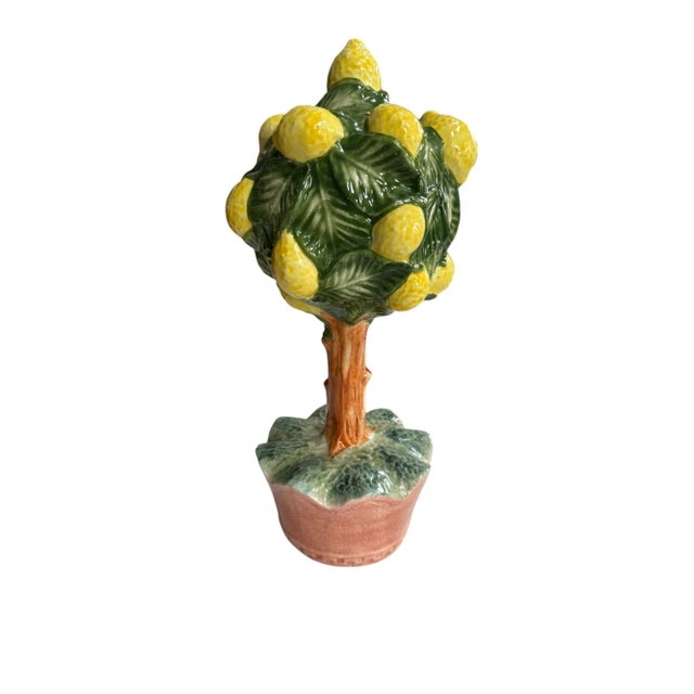 This delightful lemon tree brings a bit of the Amalfi Coast straight to your home! Perfect for a kitchen or to adorn your...