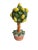 This delightful lemon tree brings a bit of the Amalfi Coast straight to your home! Perfect for a kitchen or to adorn your...