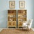 20th-C. Petite Victorian Style Chinoiserie Bookcases W/ Hand Painted Bird Doors - Pair For Sale - Image 10 of 10