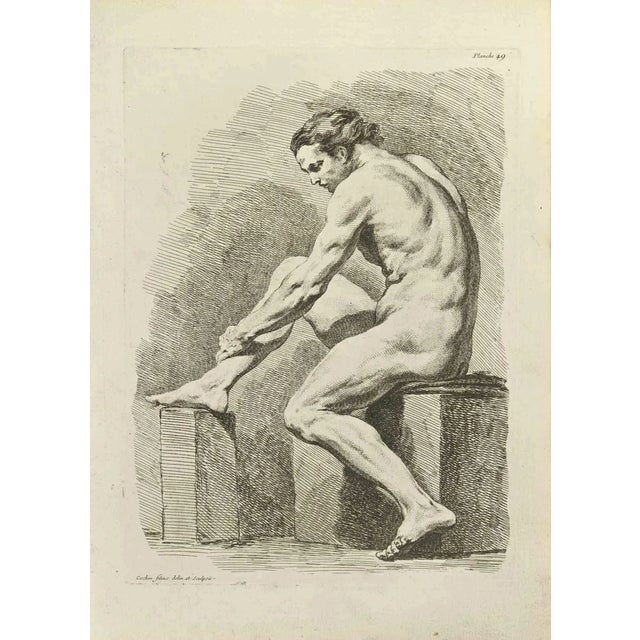 Nicholas Cochin, Anatomy Studies, Etching, 1755 For Sale