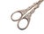 Danish Art Nouveau Grapes Scissors, 1920s For Sale - Image 3 of 7