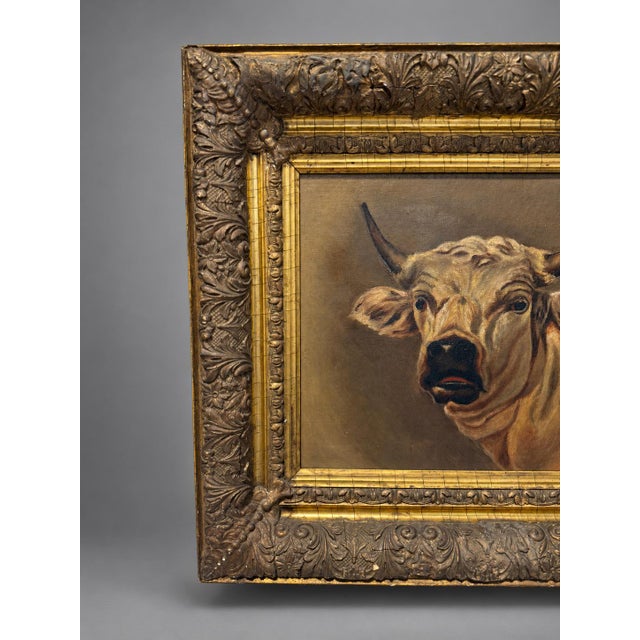 Attr Rosa Bonheur (French, 1822 - 1899) "Portrait of a Highland Bull" W Findley For Sale - Image 4 of 11
